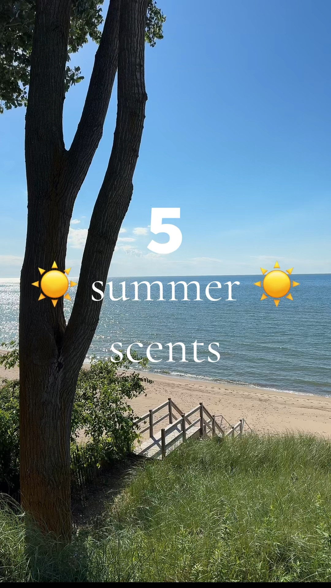 5 perfect scents for summer 

#LTKSummerSales #LTKFindsUnder50 #LTKBeauty