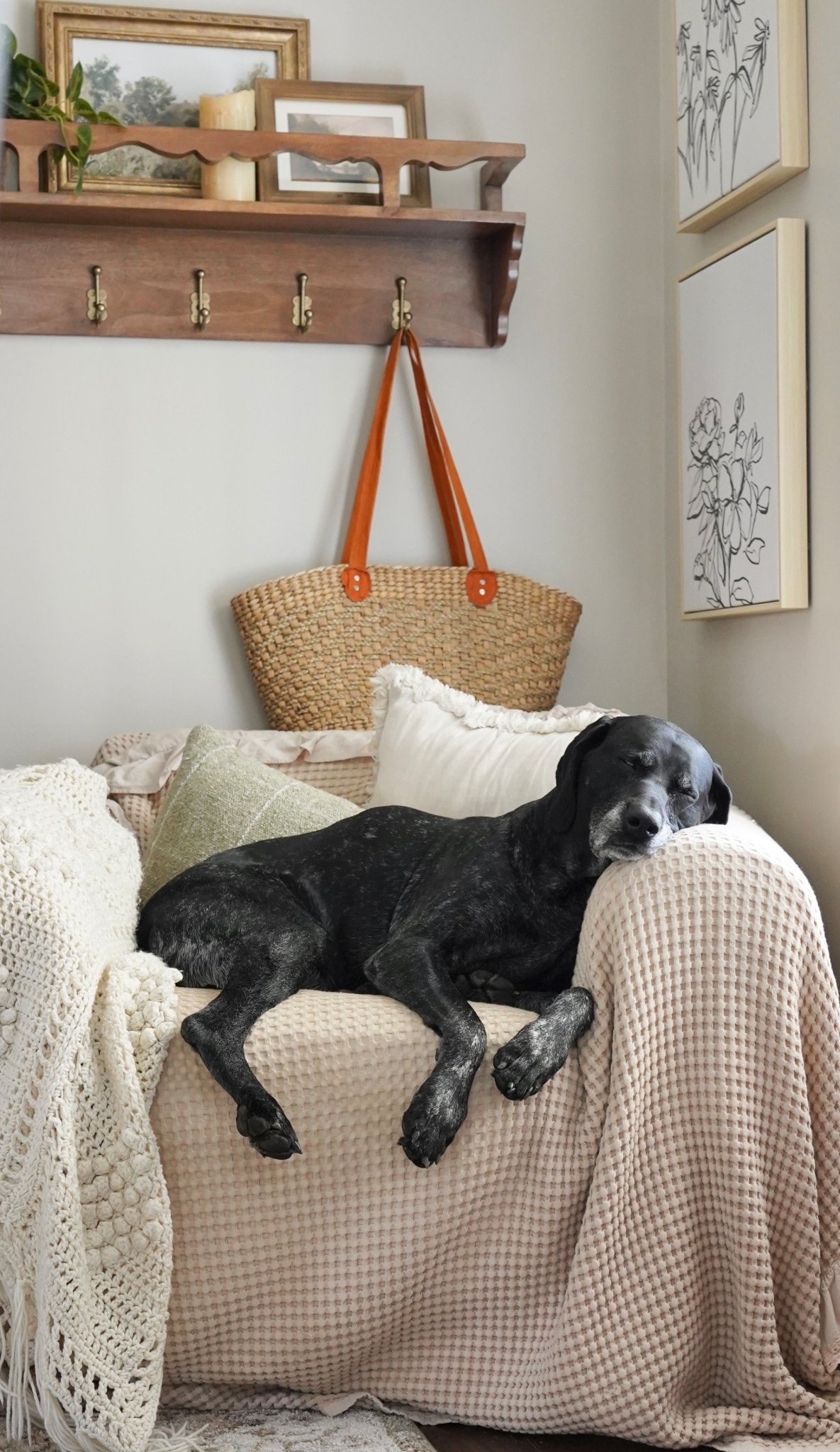 I’m using this waffle blanket as a chair cover here and I love it! Cozy home. Collected home. Waffle blanket. 

#LTKHome