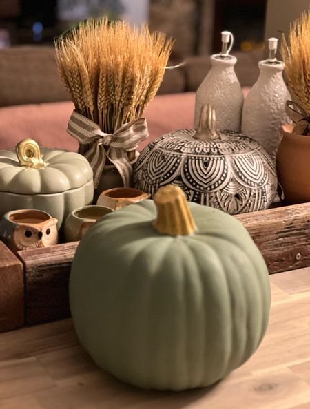 Simple and affordable idea to put together a fall vignette on a budget - but cheap pumpkins and paint them to go with your color scheme. This one used to be bright turquoise but we changed that with a small amount of paint and about 10 minutes of my time. We have lots of other affordable ideas here, most under $10, to make your own fall setting. 

#LTKfindsunder50 #LTKhome #LTKSeasonal