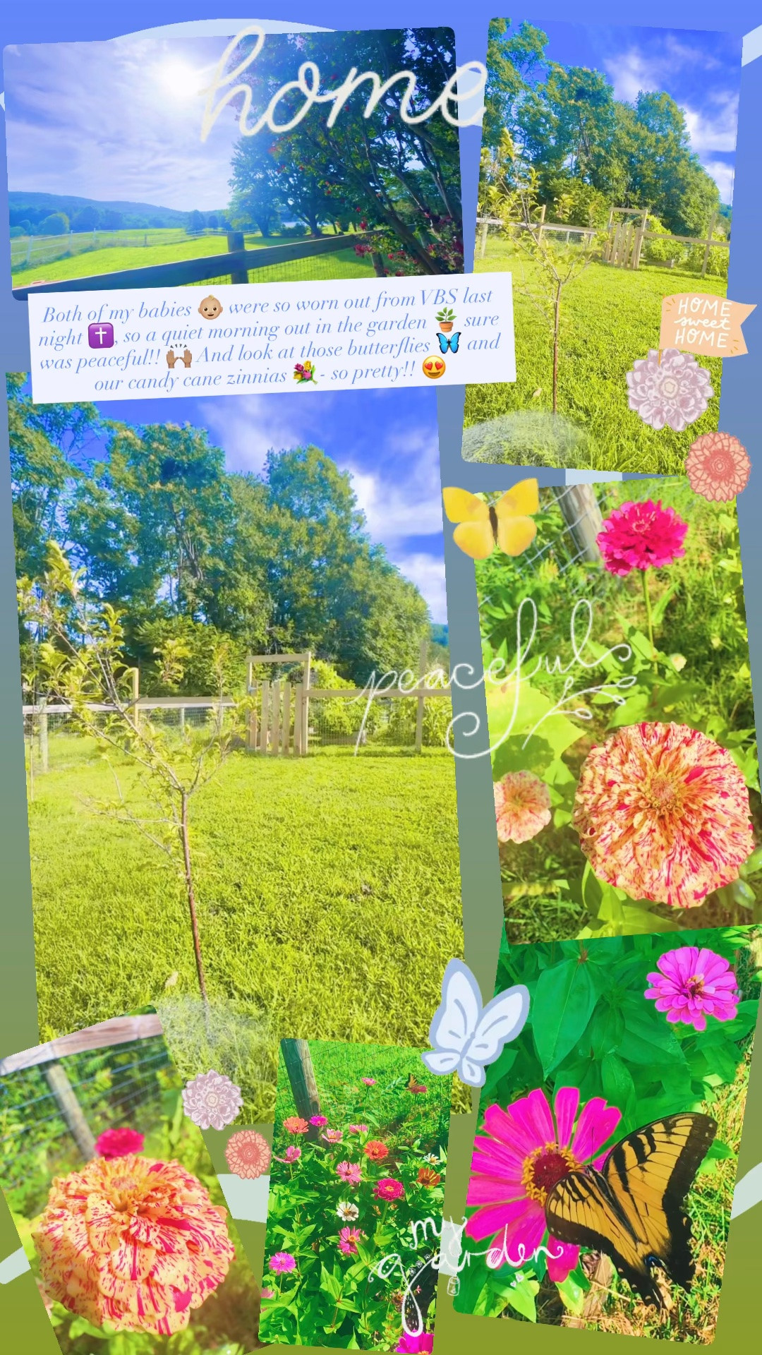 Both of my babies 👶🏼 were so worn out from VBS last night ✝️, so a quiet morning out in the garden 🪴 sure was peaceful!! 🙌🏽 And look at those butterflies 🦋 and our candy cane zinnias 💐- so pretty!! 😍