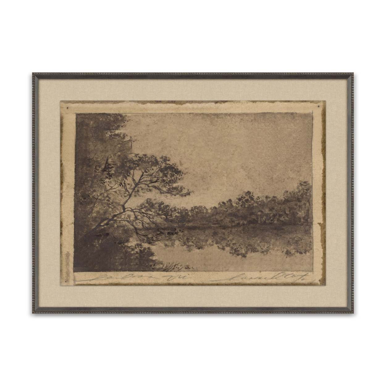 Heirloom #10 by Hannah Winters | Magnolia