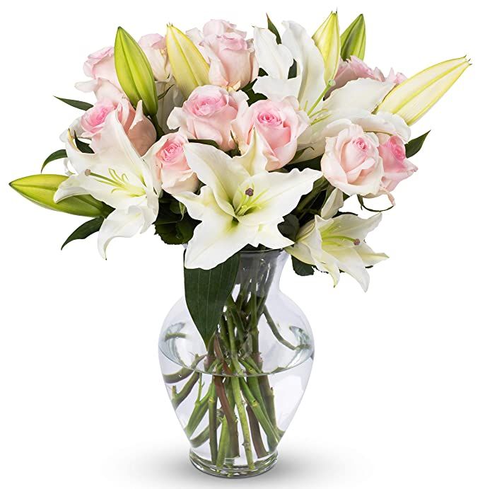 Benchmark Bouquets Light Pink Roses and White Oriental Lilies, With Vase (Fresh Cut Flowers) | Amazon (US)
