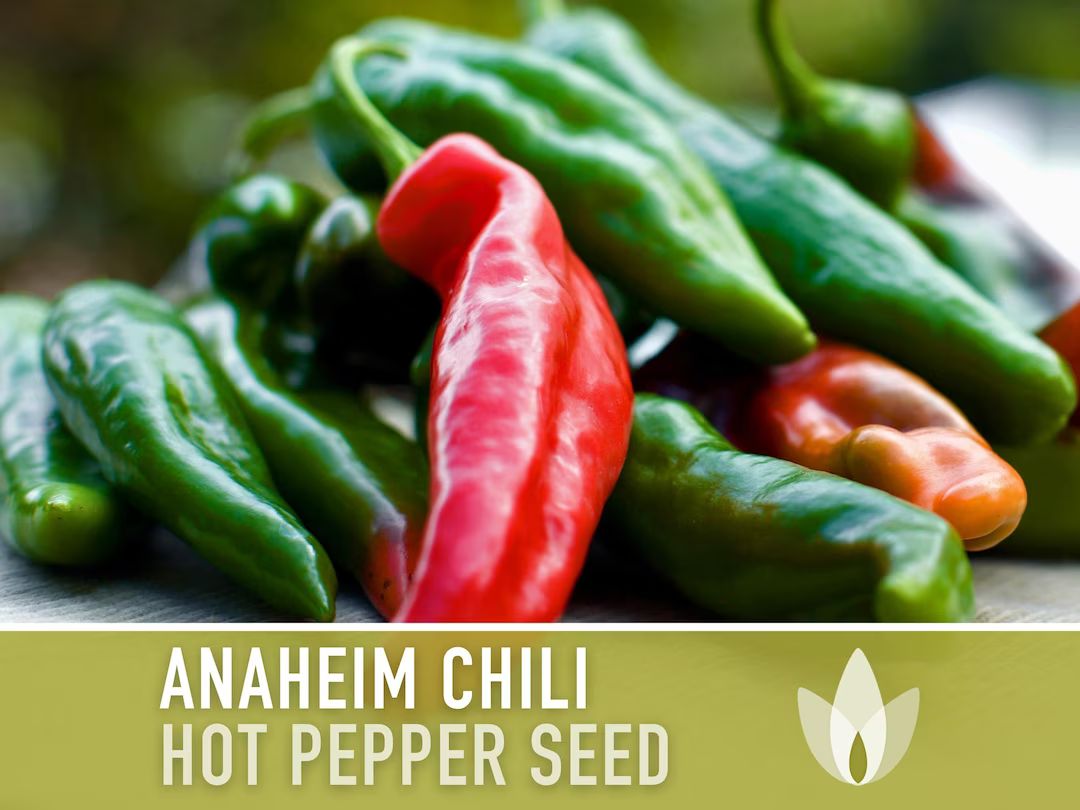 Anaheim Chili Pepper Heirloom Seeds - Etsy | Etsy (US)