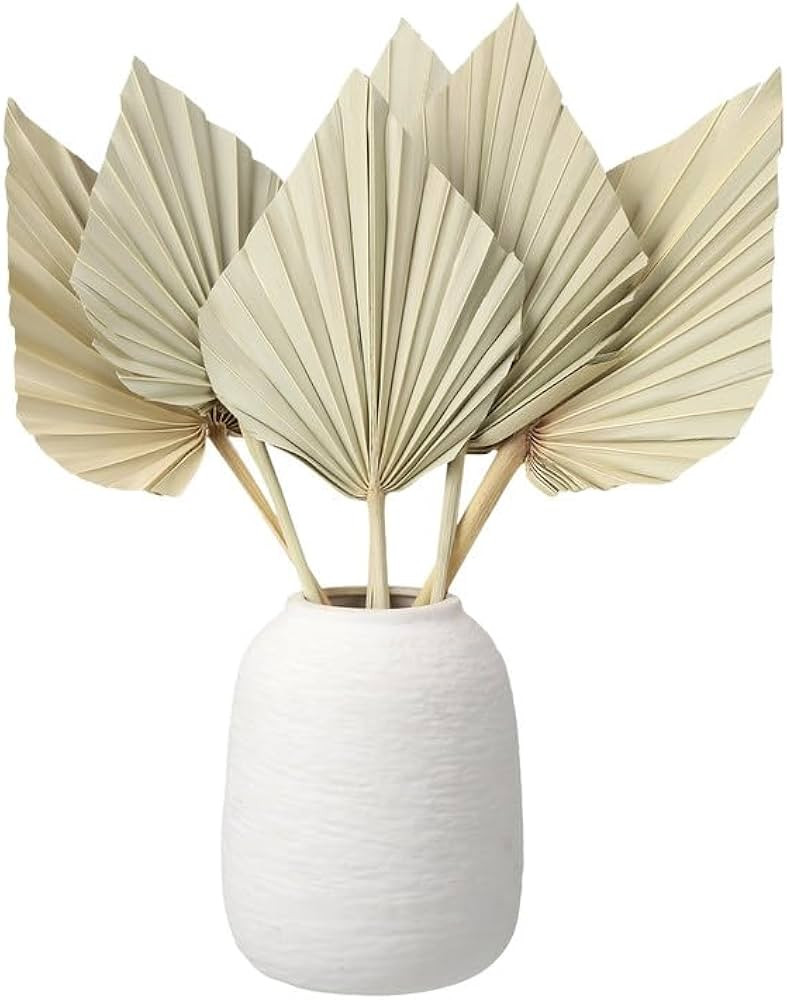 ZhouBoat 6 Pcs Small Boho Dried Palm Fans,Natural Dried Palm Spears Leaves with Stem Bohemian Dri... | Amazon (US)