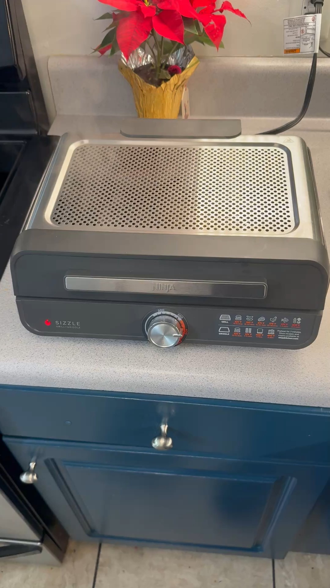 Ninja sizzle indoor grill.  Perfect for steaks!