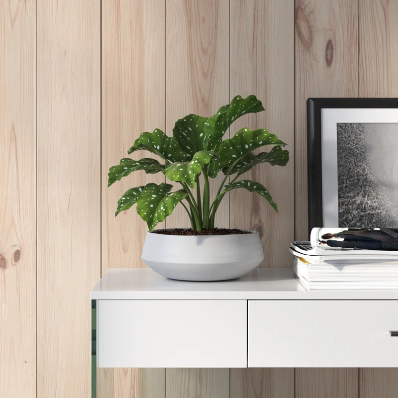 Wimbish Handmade Ceramic Pot Planter | Wayfair North America