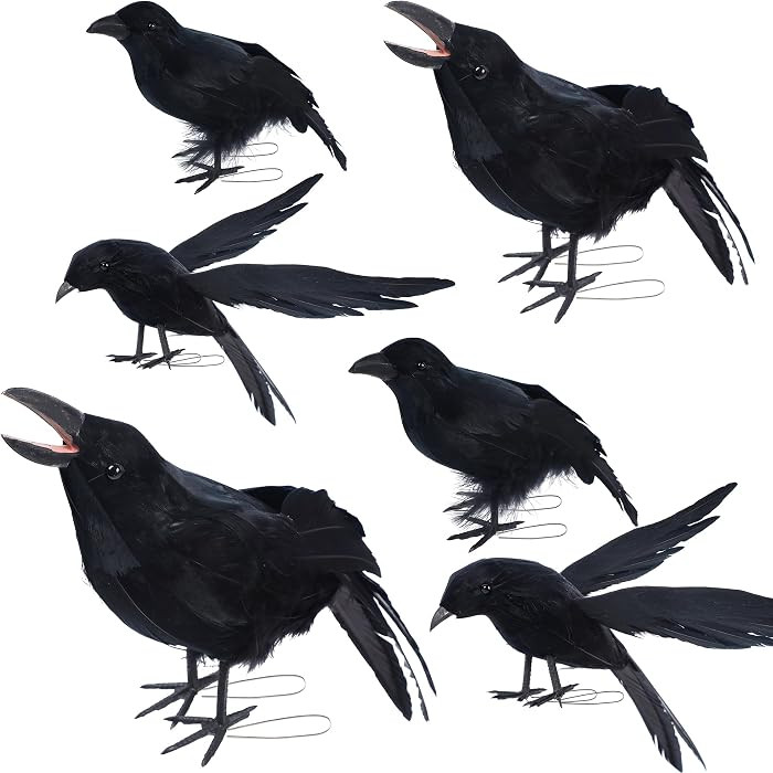 6 Pack Crows Halloween Decorations Realistic Fake Crow | Amazon (US)