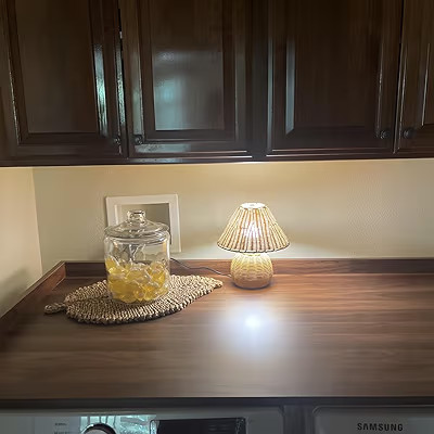 WERFOP | Amazon (US)