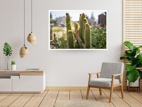 Framed Photograph  Joshua Tree Desert  Cactus Western | Etsy | Etsy (US)
