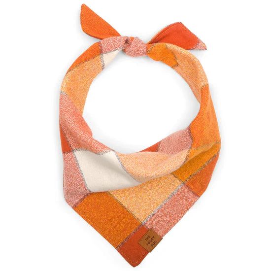 Pumpkin Spice Flannel Dog Bandana | All She Wrote