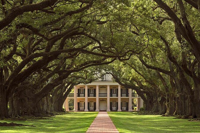 Swamp Boat Ride and Oak Alley Plantation Tour from New Orleans | Viator – A TripAdvisor Company (US)
