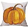 Autumn Happy Fall Y'all Pumpkin Watercolor Cotton Linen Throw Pillow Cover Cushion Case Home Chai... | Amazon (US)