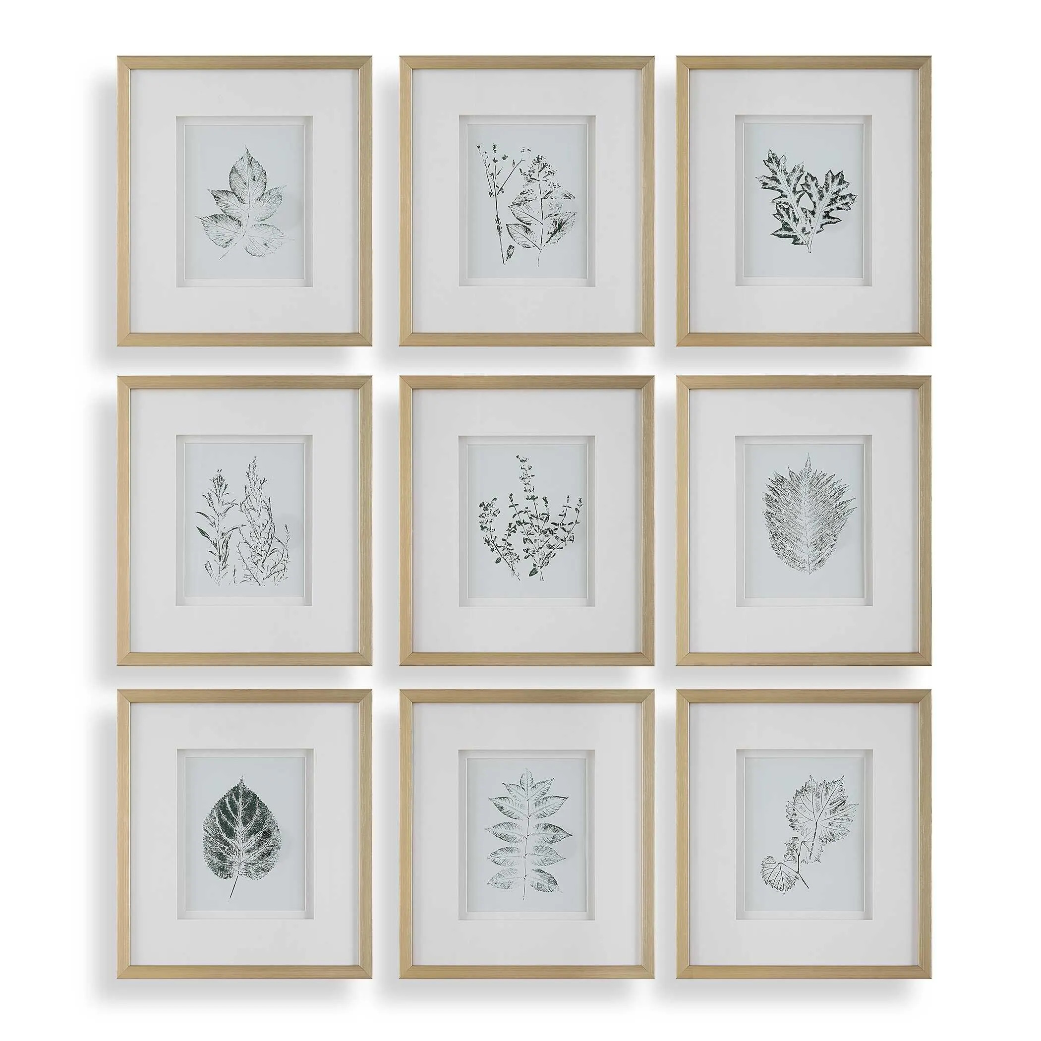 Uttermost Nature's Script Wall Art 15 x 17 | Ashley