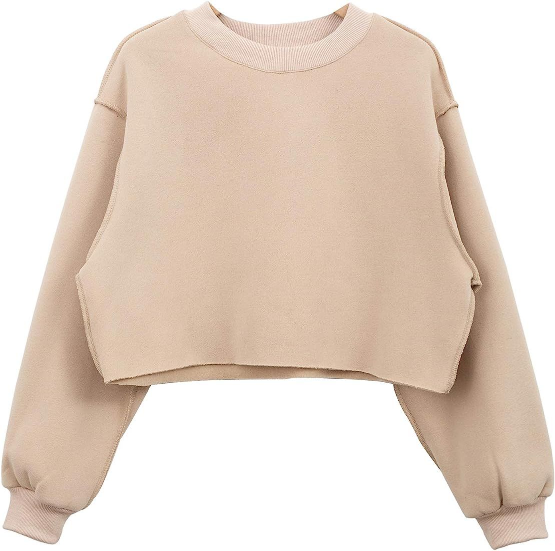 Amazhiyu Women Cropped Sweatshirt Long Sleeves Pullover Fleece Crop Tops | Amazon (US)