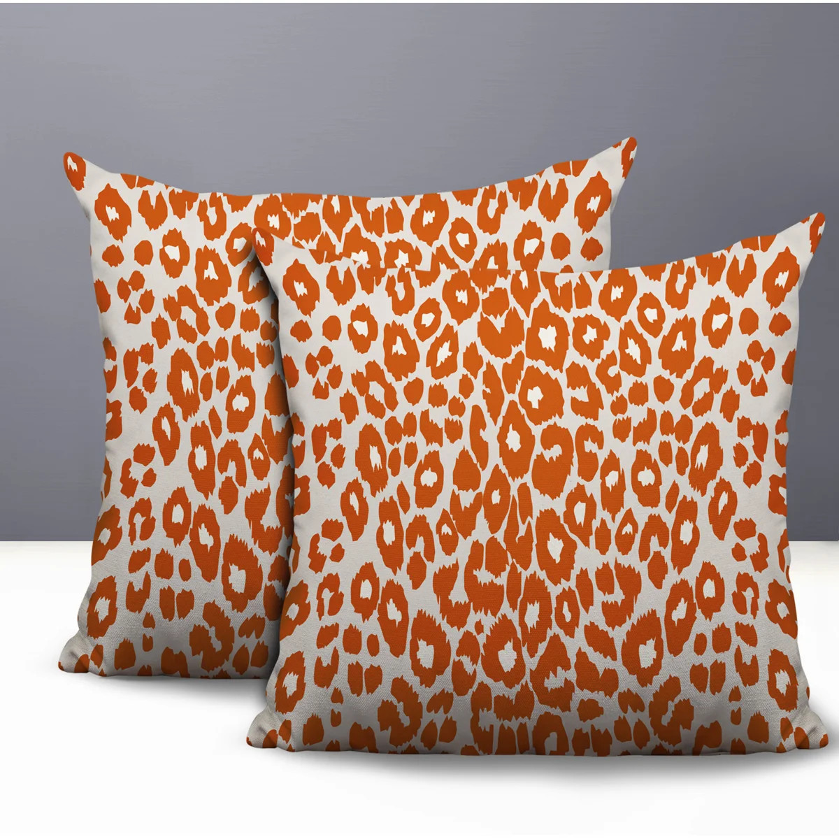 Dibi Zebra Print Indoor/Outdoor Reversible Pillow (Set of 2) | Wayfair North America