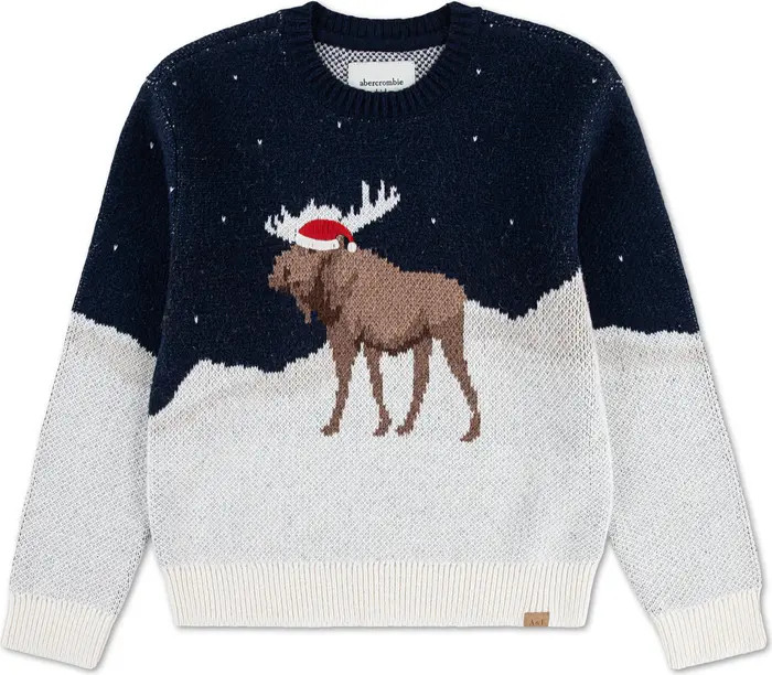 Kids' Moose Sweater | Nordstrom