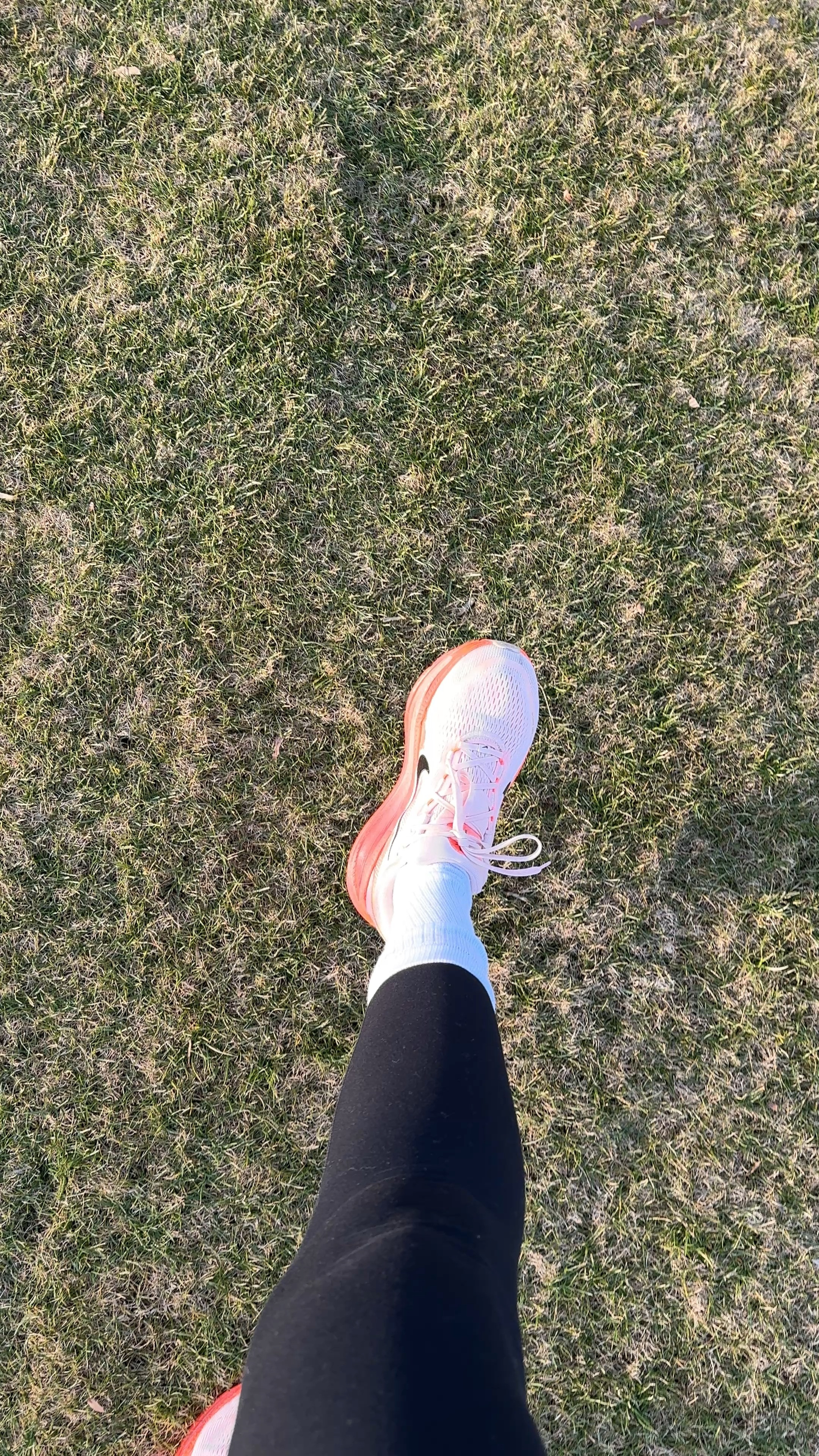 Proof mama tried with the tall socks. Exact shoes and socks linked along with a few extras you might like.  

 #LTKdayinmylife #LTKOver40