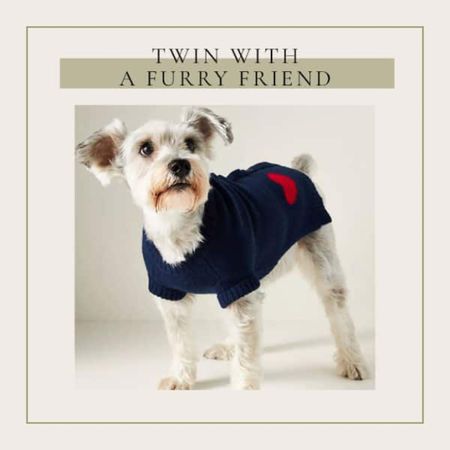 Twin with your furry friend. Yup, it’s a heart sweater for dogs! 

#LTKSeasonal #LTKunder100 #LTKFind