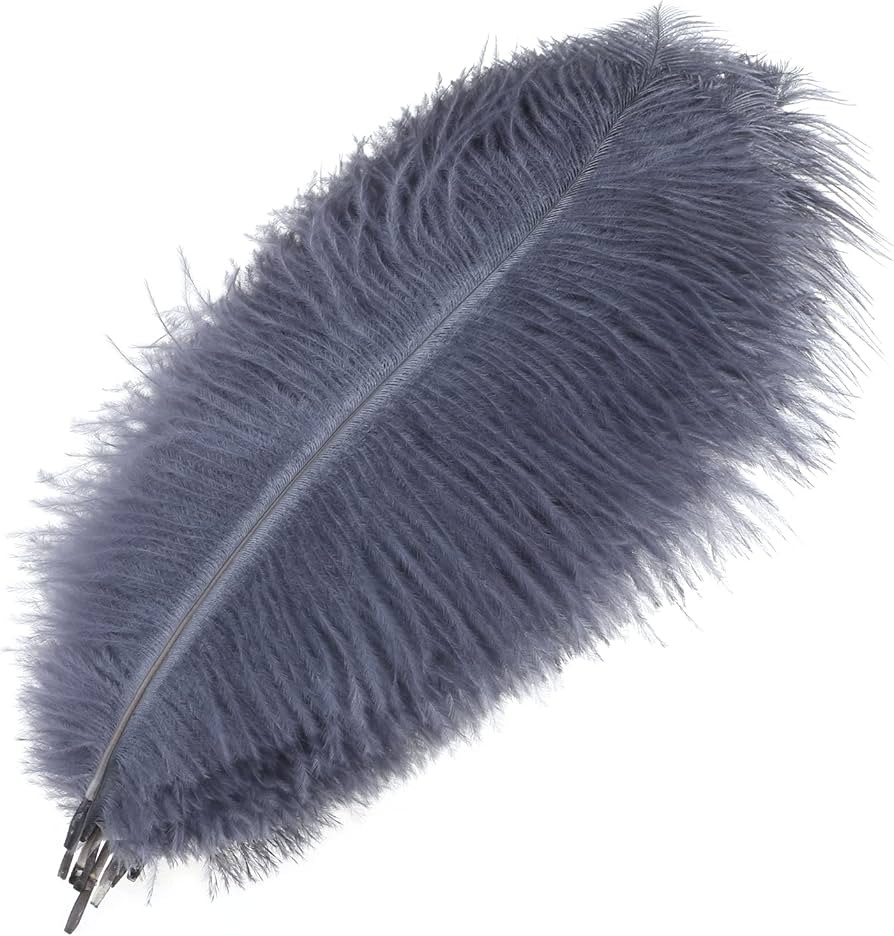 MWOOT Pack of 10 Natural Ostrich Feathers, Ostrich Feather Plume for Wedding Party Table Centrepi... | Amazon (DE)