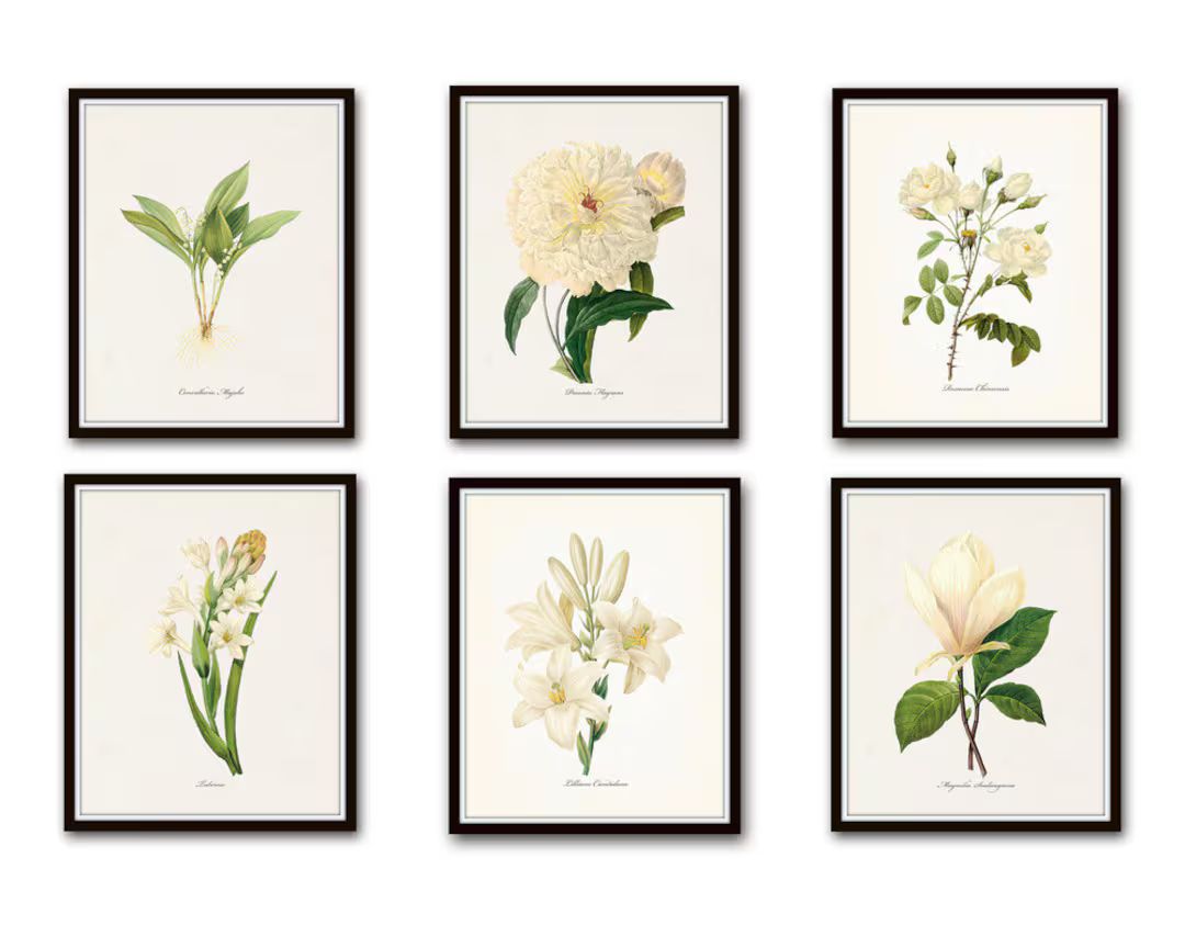 White Botanical Print Set No. 4, Botanical Print, Giclee, Art Print, Botanical Prints, Vintage Bo... | Etsy (US)