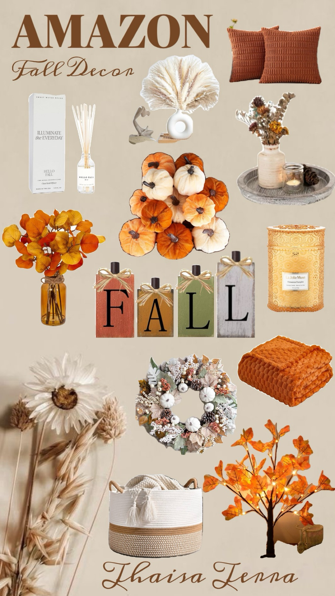 Affordable and cute  Amazon fall decorations 🍂🍁

#LTKHome #LTKFallSale #LTKVideo