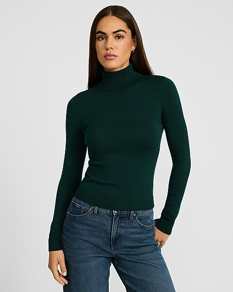 Silky Soft Fitted Turtleneck Sweater | Express