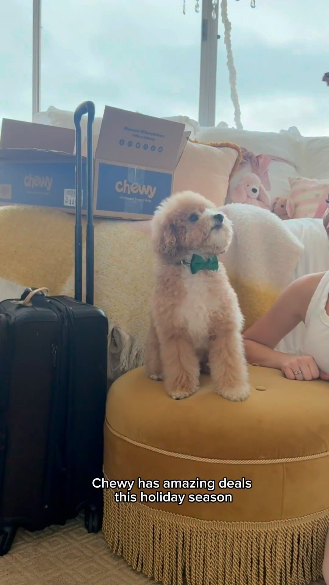 All of Franklin’s Holiday Essentials!! @Chewy has everything from food & travel supplies to fun Christmas toys & treats… Up to 60% off assorted categories, AND Buy 1, Get 1 50% off hard goods right now!!   #ChewyPartner 

 #LTKCyberWeek #LTKGiftGuide #LTKHoliday