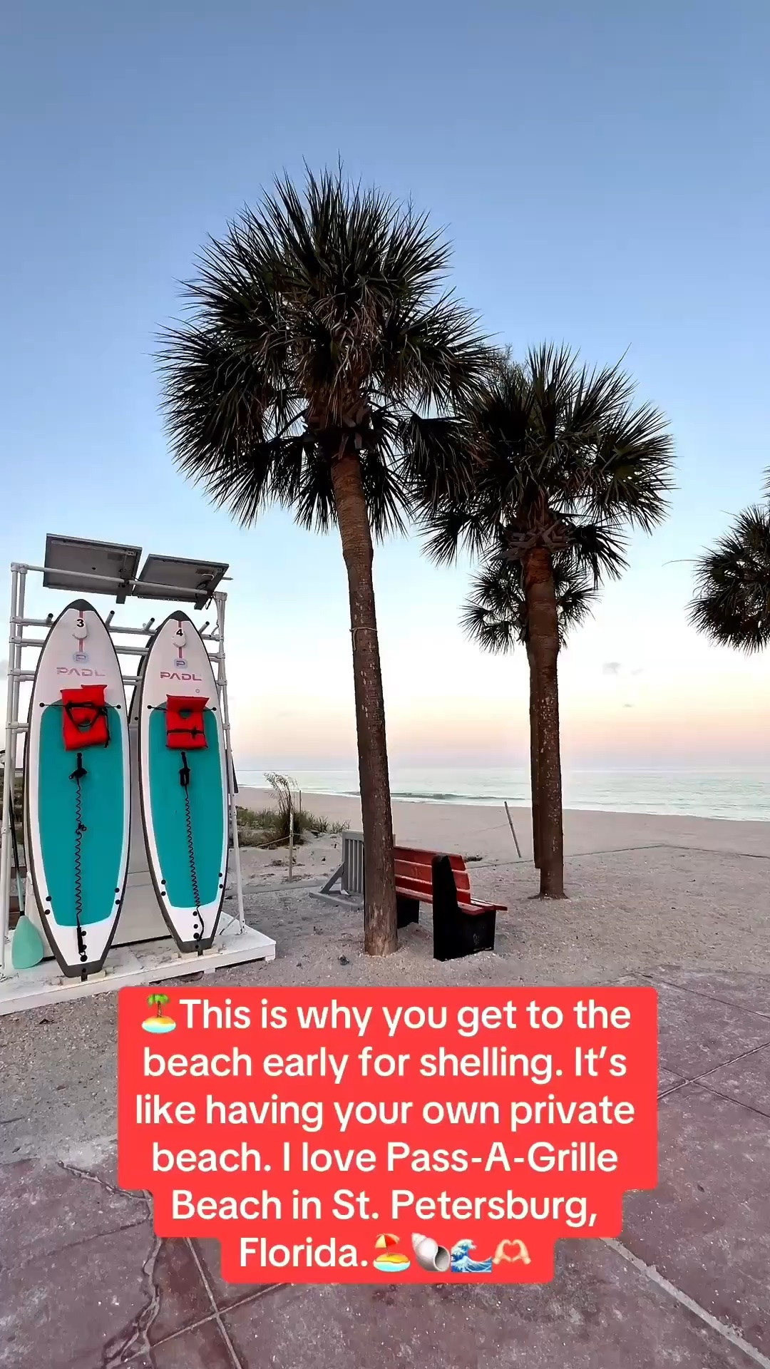 Pack these clothing pieces and accessories for your next beach getaway!

#LTKSeasonal #LTKOver40 #LTKSaleAlert #LTKTravel #LTKgrwm #LTKootd #LTKMidsize #LTKvlog #LTKU #LTKSwim