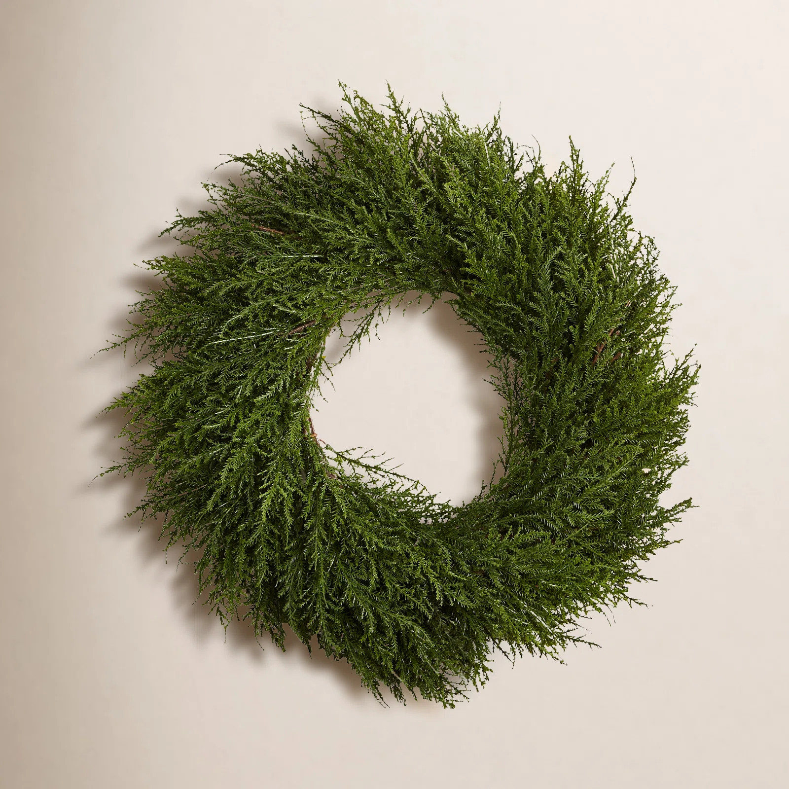 Primrue Cedar 24" Grennery Wreath & Reviews | AllModern | AllModern