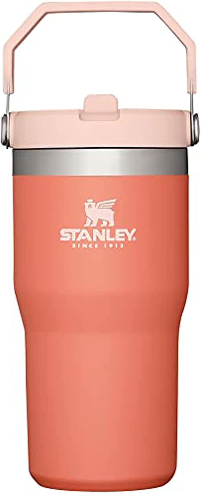 Stanley IceFlow Stainless Steel Tumbler with Straw - Vacuum Insulated Water Bottle for Home, Offi... | Amazon (US)