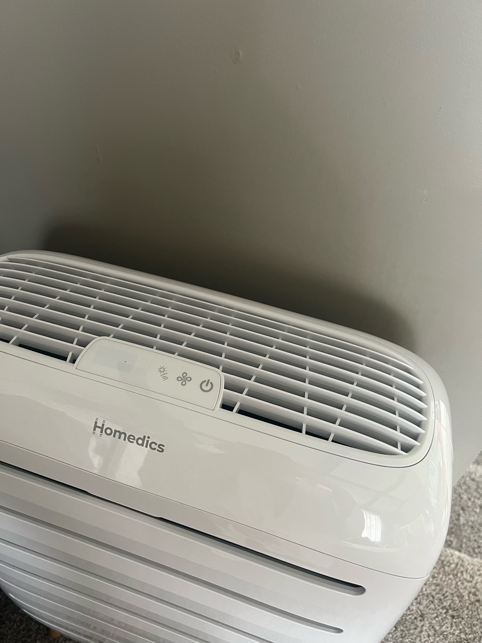 Air purifier of our dreams! We have one in our bedroom (smaller) and this one in our living room, and it makes the biggest difference with dog hair. Worth the splurge 100%. Great gift as well! 

#LTKHolidaySale #LTKGiftGuide #LTKHoliday