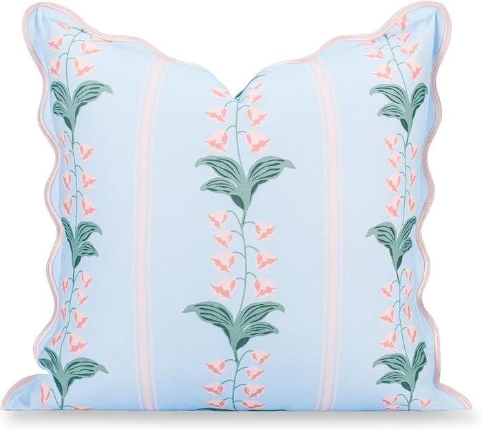 Hofdeco Premium Grandmillennial Patio Indoor Outdoor Throw Pillow Cover Only, 20"x20" Water Repel... | Amazon (US)