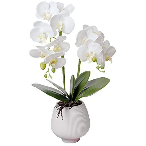 BUCHIXC Orchid Artificial Orchids Flowers with Vase White Phalaenopsis Plant Silk Faux Orchids Fake Flowers Arrangements for Home Decoration Living Room Office Bedroom Bathroom Kitchen Dining Room | Amazon (US)