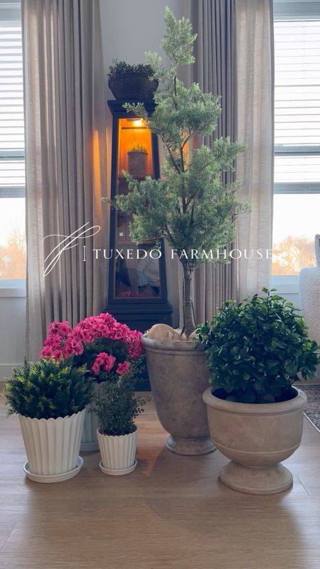 Faux plant and planter options for spring. I start with faux and add in real when temps allow. 

#LTKstyletip #LTKVideo #LTKhome