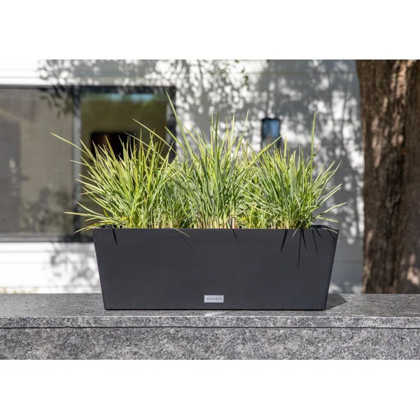 Pure Series Window Box Planter | Wayfair North America
