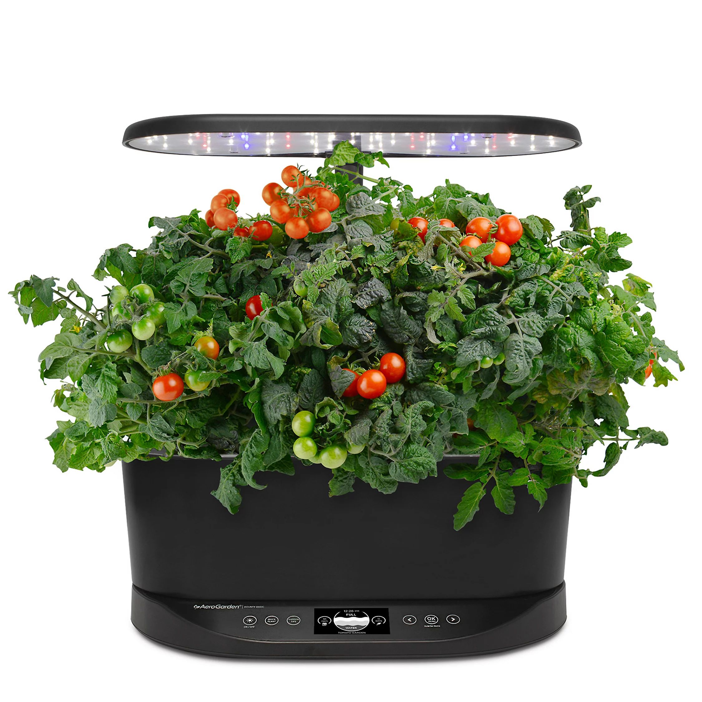 AeroGarden Bounty Basic with Gourmet Herbs Seed Pod Kit | Kohl's