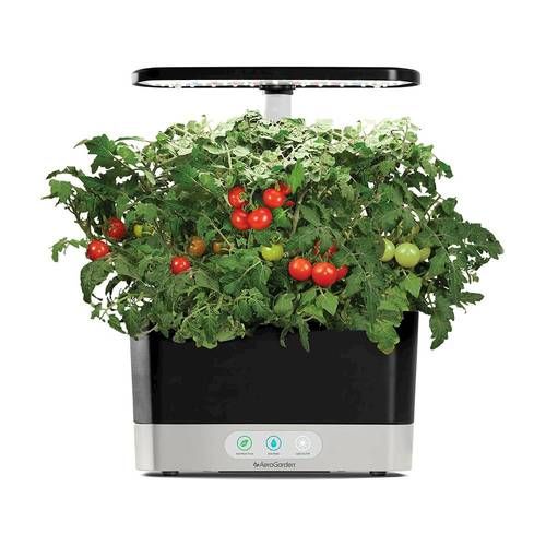 AeroGarden - Harvest - Indoor Garden - Easy Setup - 6 Gourmet Herb pods included - Black | Best Buy U.S.