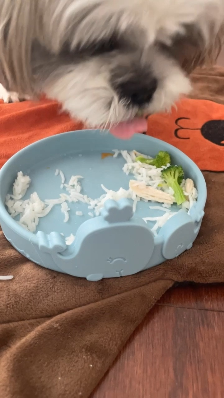 Ralphie enjoys eating from this shallow silicone baby plate and it's on sale for under $5. I bought 2.

Shih tzu picky eater

#LTKFamily #LTKFindsUnder50 #LTKBaby