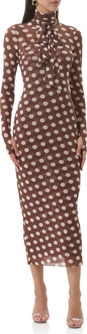 Bryony Long Sleeve Polka Dot Mesh Dress | Nordstrom