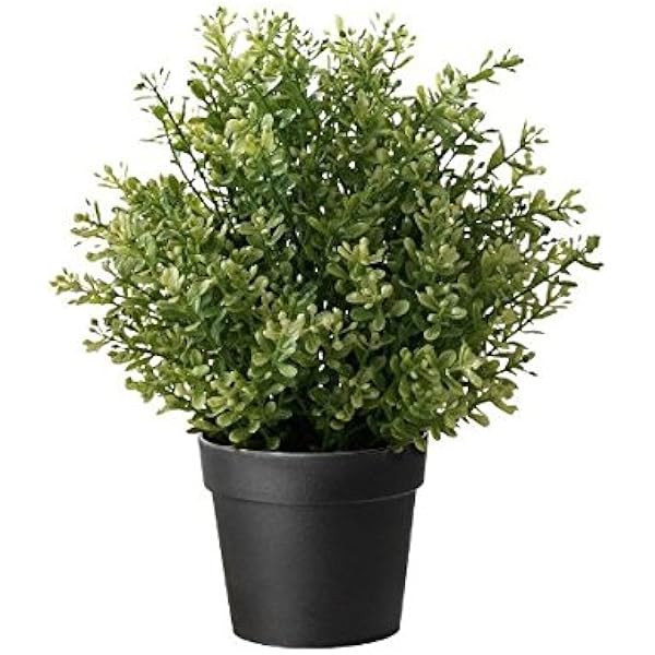 IKEA.. 903.821.13 Fejka Artificial Potted Plant, Rosemary | Amazon (US)