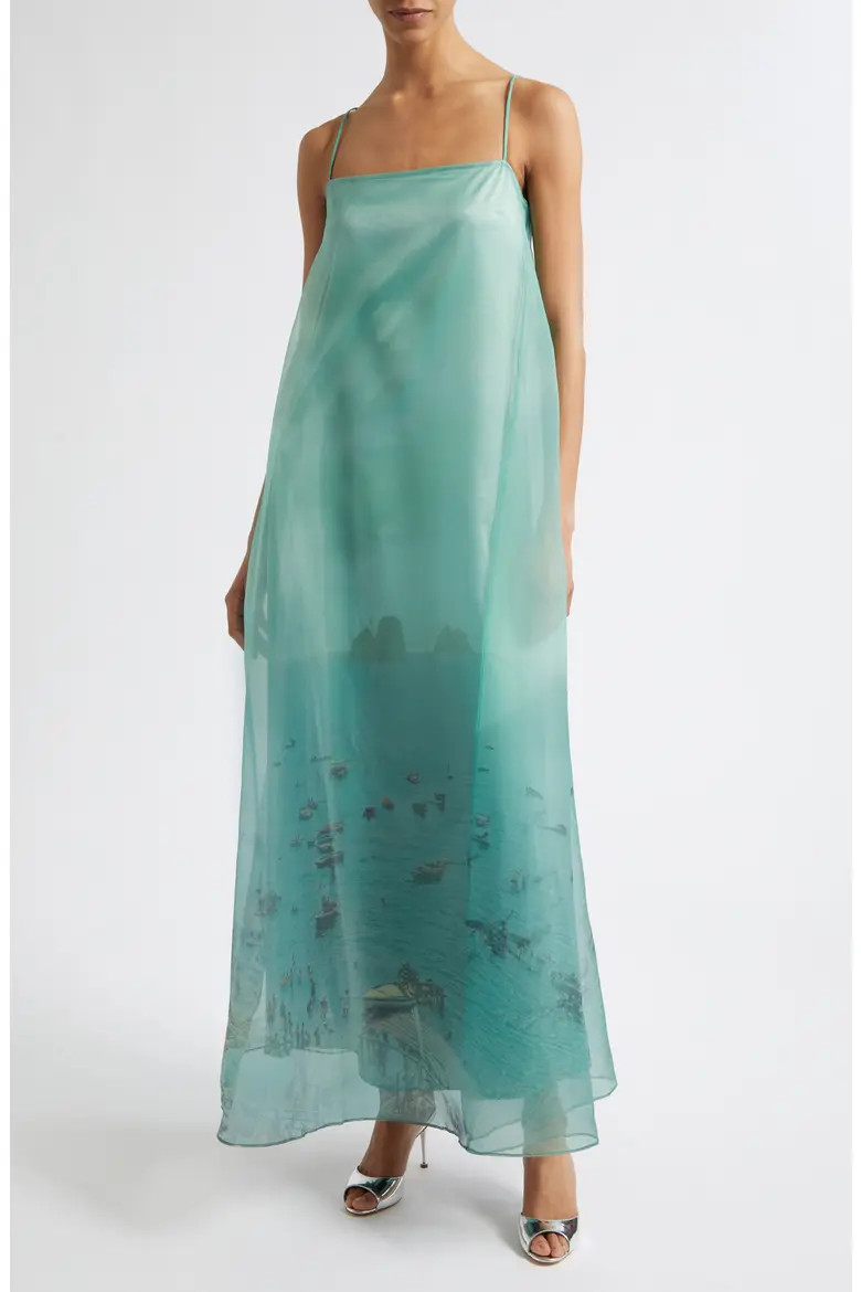 Delfina Print Organza Maxi Dress (Women) | Nordstrom | Nordstrom