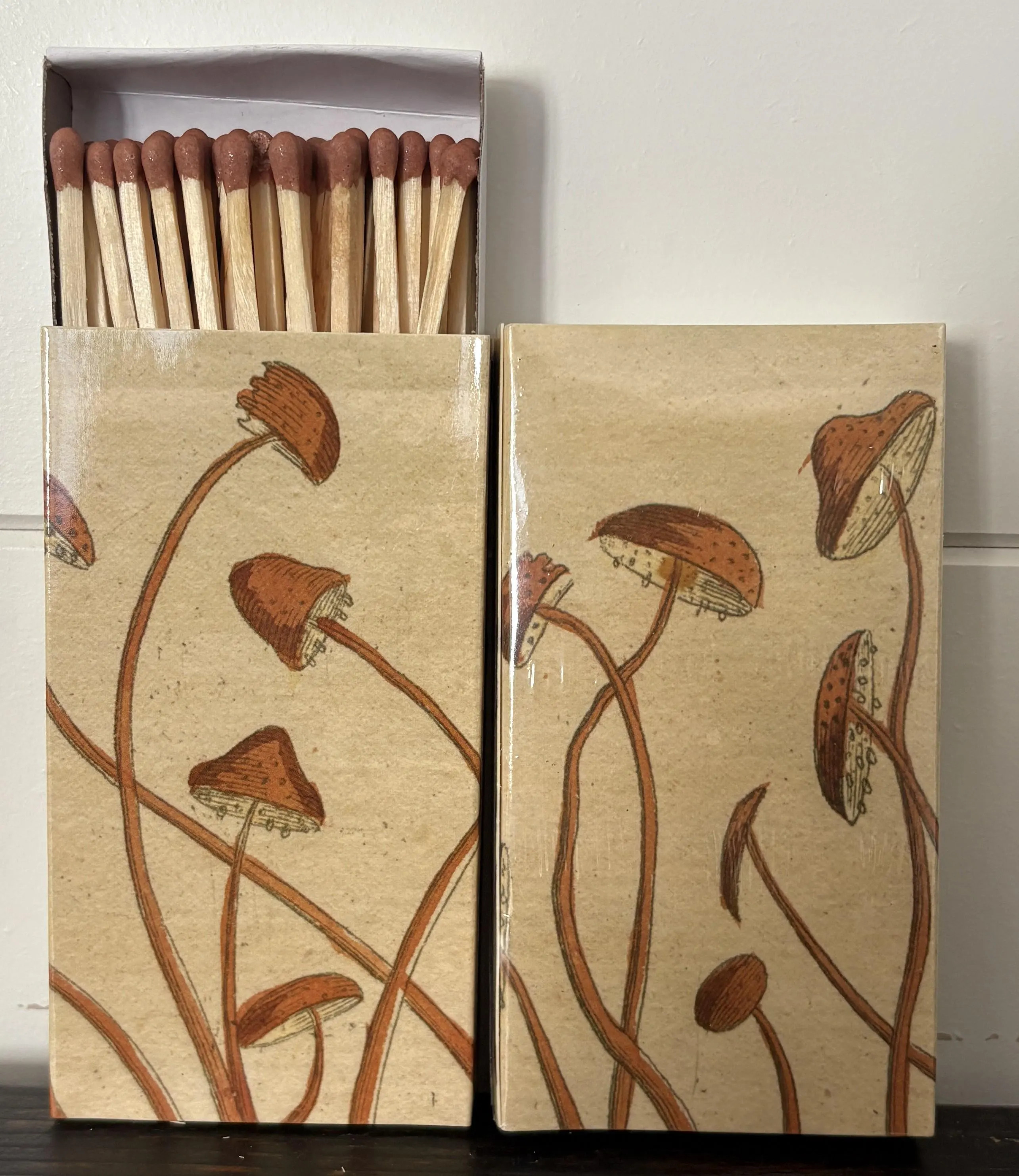 Matches - Mushrooms and Mushrooms | Etsy (Global)