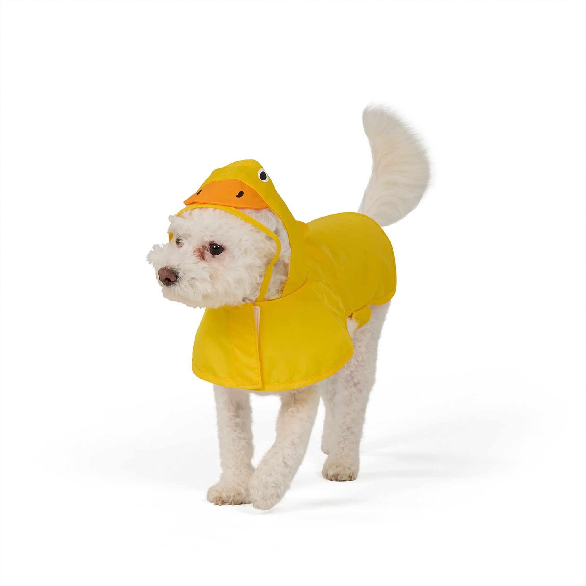 Top Paw® Duck Raincoat | PetSmart