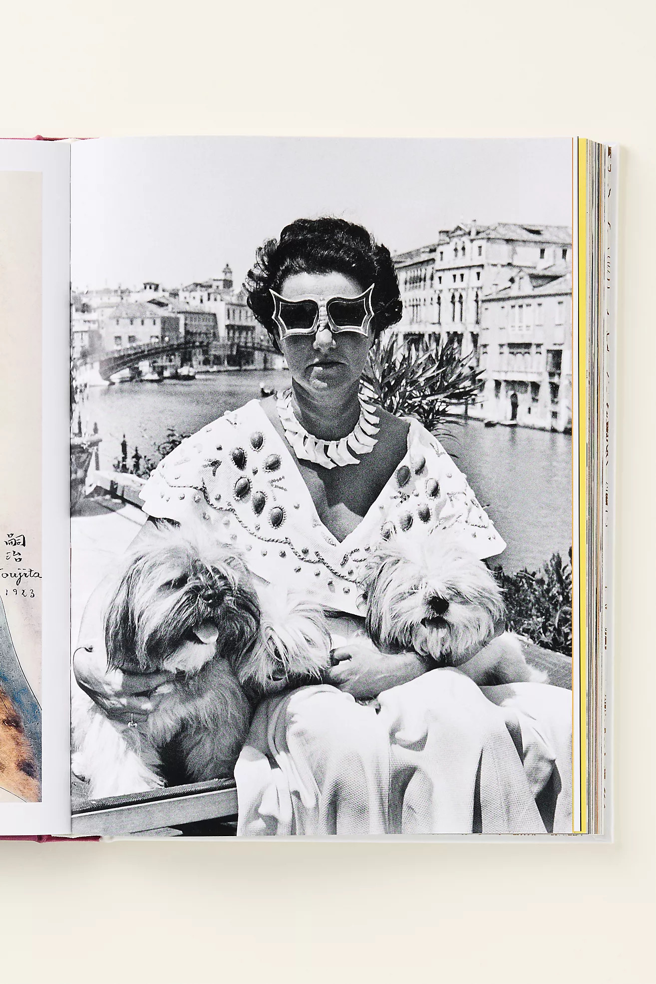Chic Dogs Hardcover Book | Anthropologie (US)