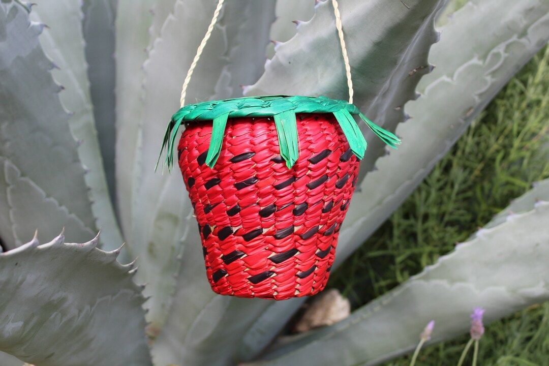 Strawberry Crossbody Handwoven Palm Leaves/Bolsa De Fresa Hecha de Palma | Etsy (US)