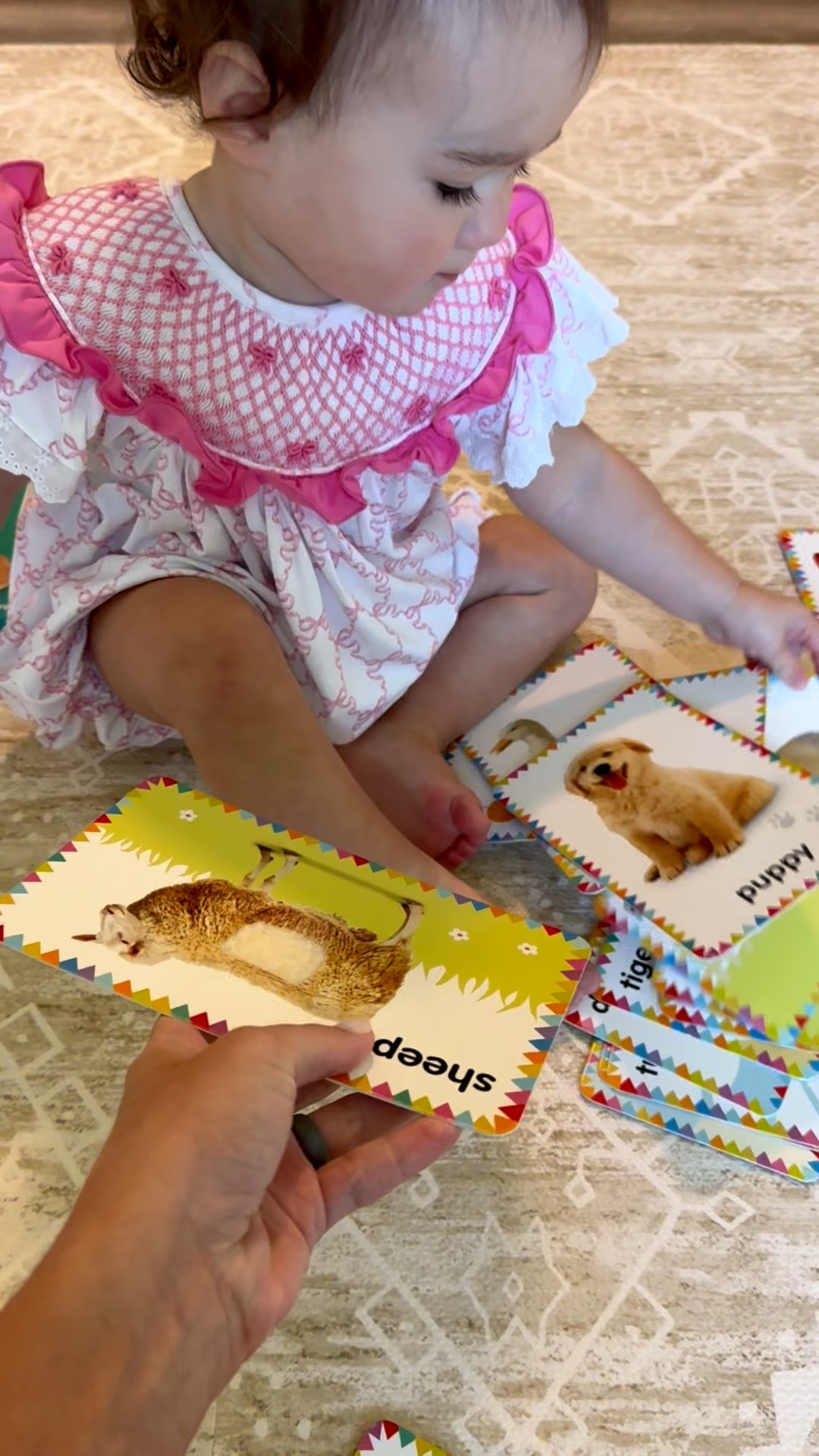 these thick flashcards for babies/toddlers are great! I love that they are touch/feel and they have guided questions on the back. very kid friendly #toddlerlearning #toddlerflashcards #babies 

#LTKFamily #LTKKids #LTKBaby