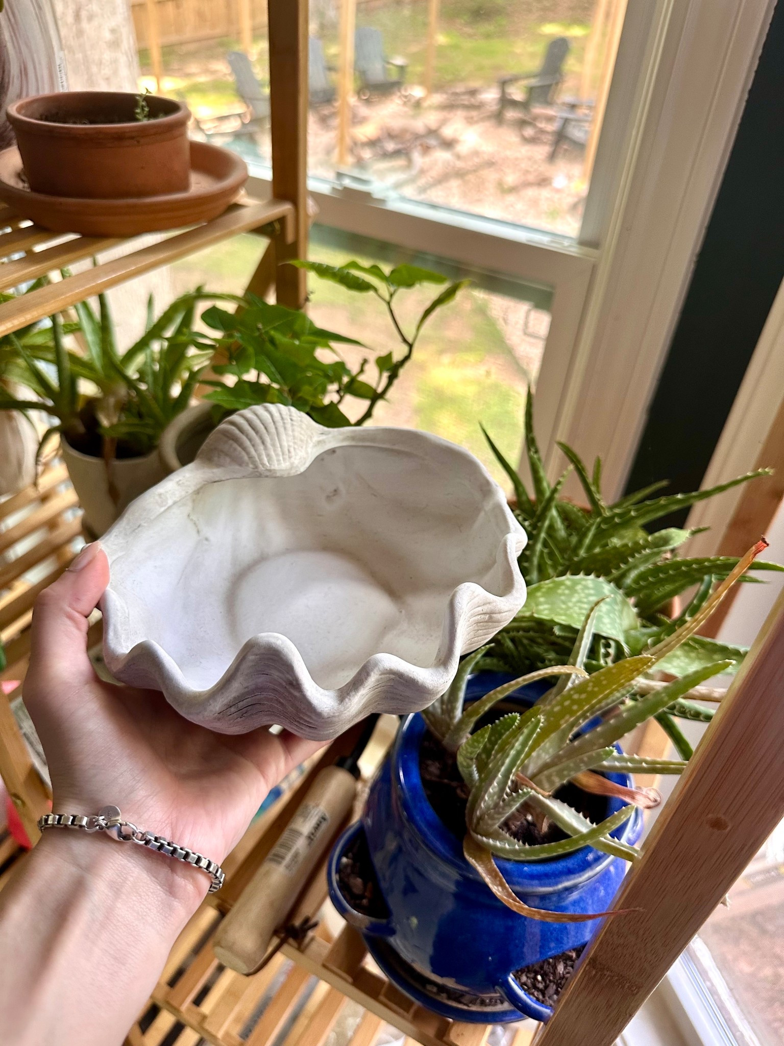 Shell planter (2 sozes + a larger option with a little FIY elbow grease. Linked all below) 

Plants | planter | summer decor | deck decor 

#LTKFindsUnder50 #LTKSummerEdit #LTKHome
