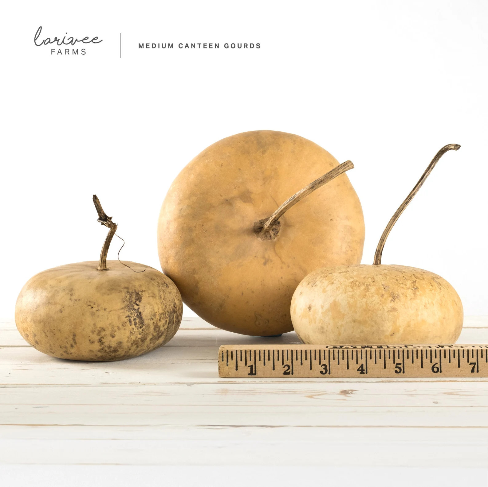 Medium Canteen Gourd Trio - Etsy | Etsy (US)