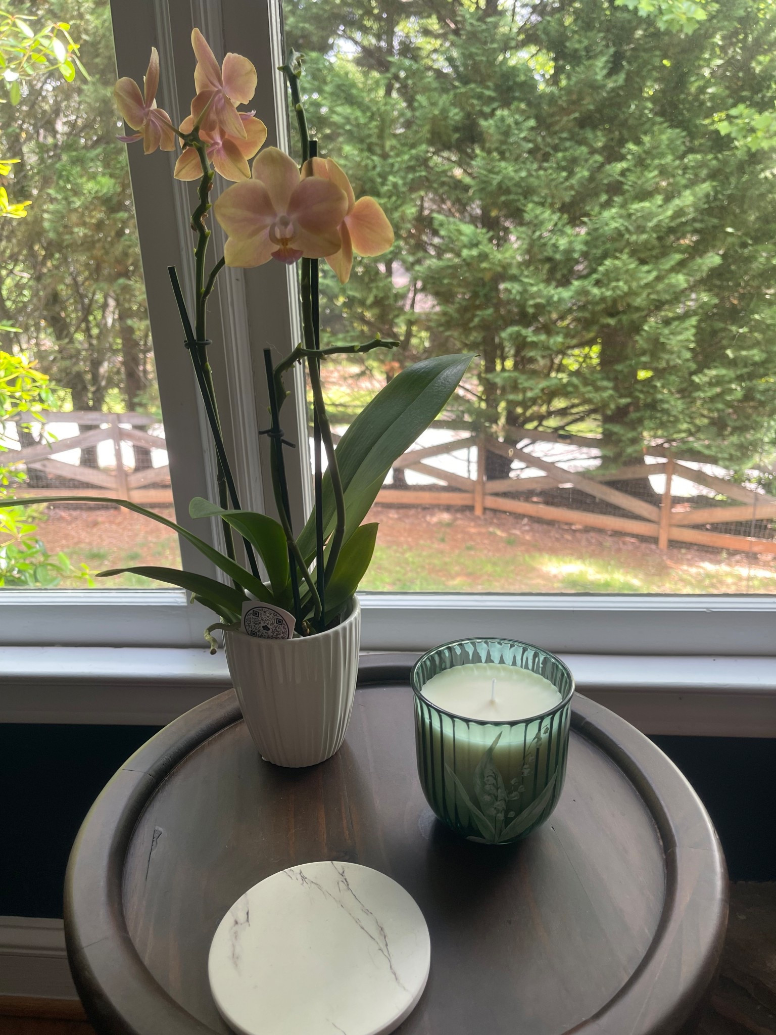 birth month candle from Anthropologie 💚

#LTKFindsUnder50 #LTKHome #LTKSeasonal