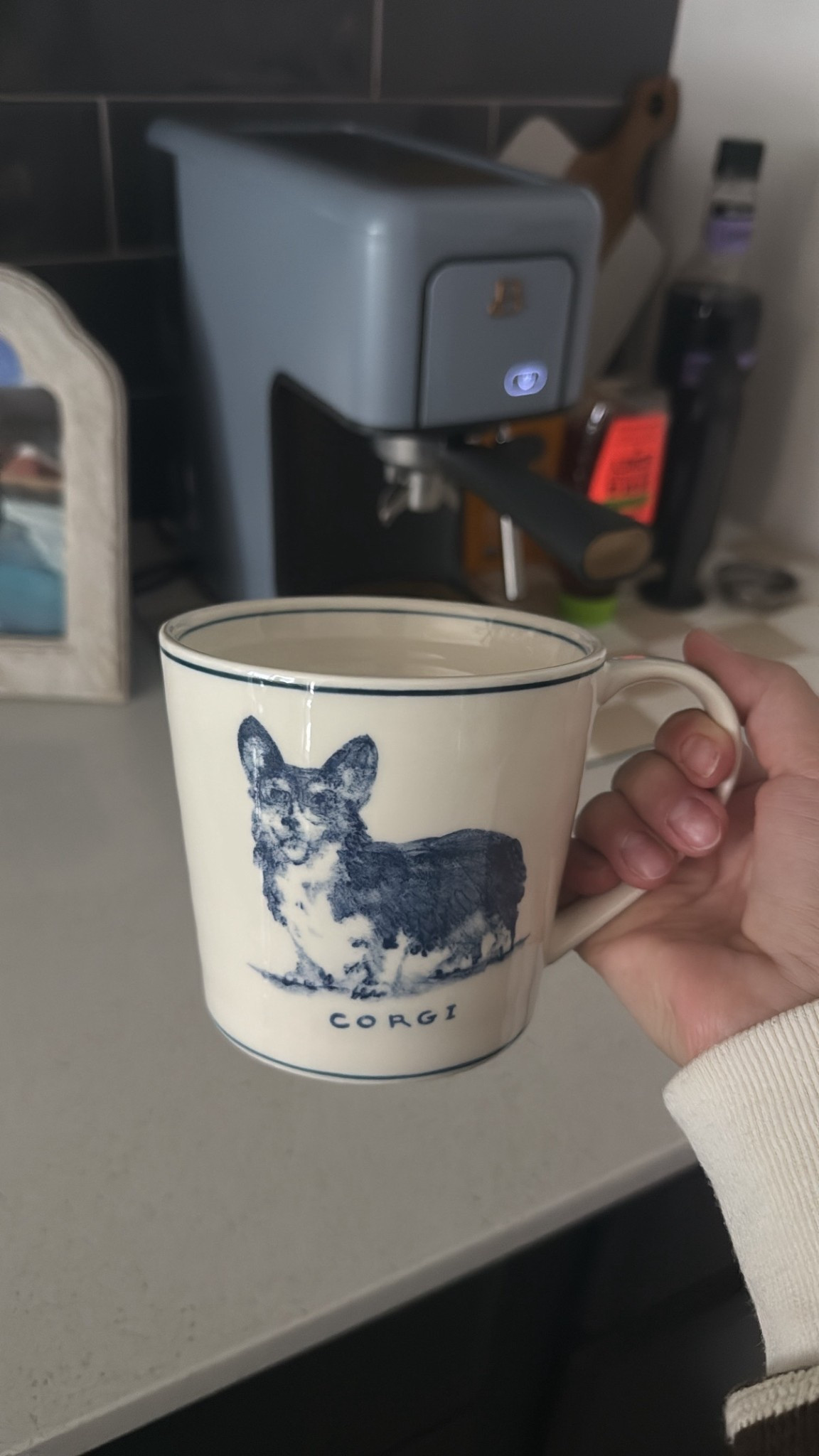 Corgi coffee mug🥰 

#corgi #coffee 